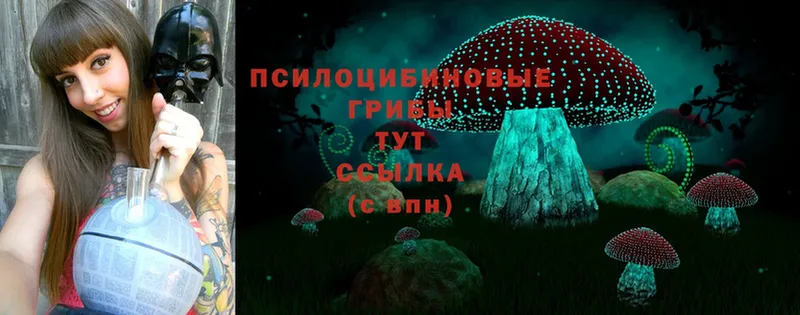 Галлюциногенные грибы MAGIC MUSHROOMS  где купить наркоту  Бодайбо 